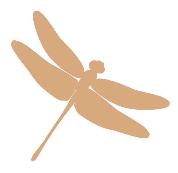 Journey North Coaching Services Dragonfly logo